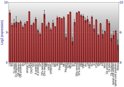 Expression graph