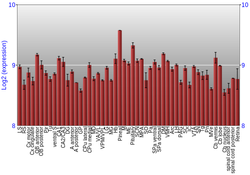 Expression graph