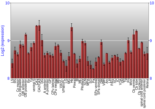 Expression graph