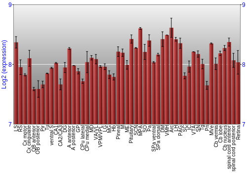 Expression graph