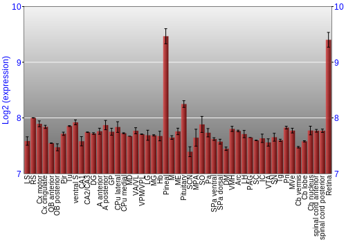 Expression graph