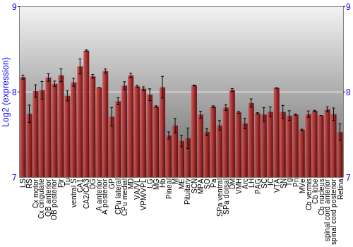 Expression graph