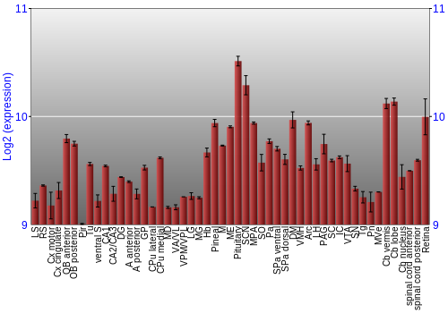 Expression graph