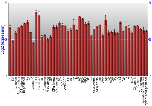 Multi-state expression graph