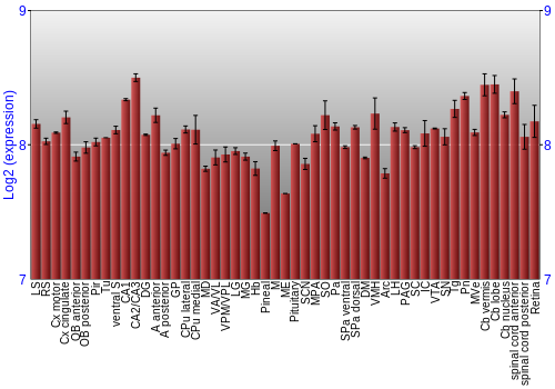 Expression graph