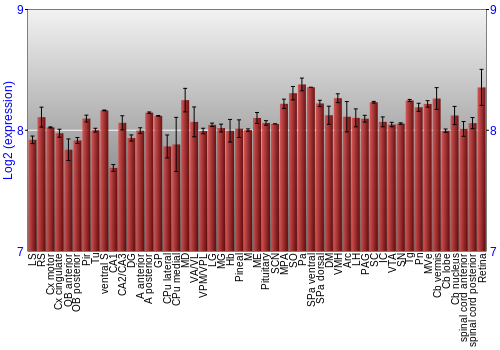 Expression graph