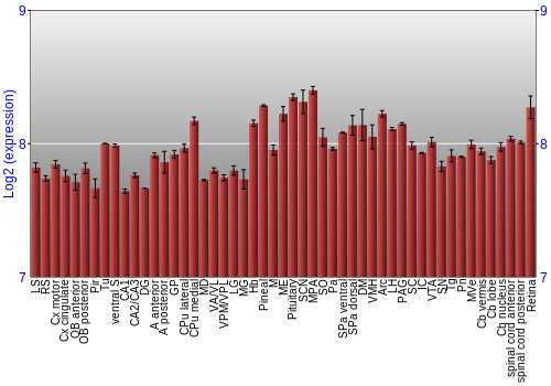 Expression graph