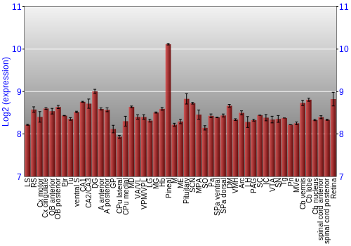 Expression graph