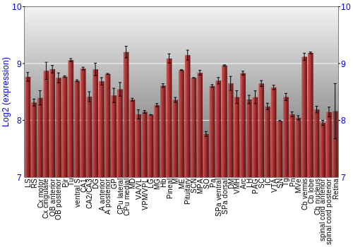 Expression graph