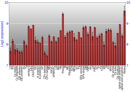 Expression graph