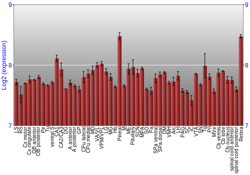 Expression graph