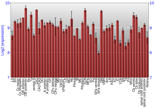 Expression graph