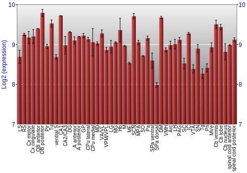 Multi-state expression graph