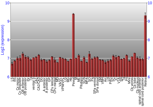 Expression graph