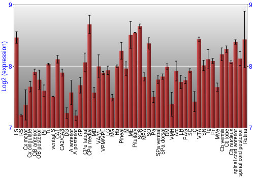 Expression graph