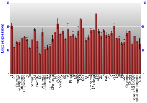 Expression graph