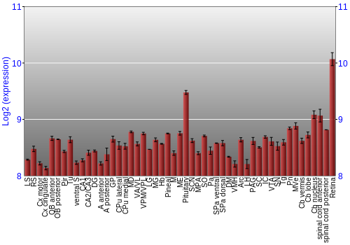 Expression graph