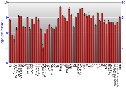 Expression graph