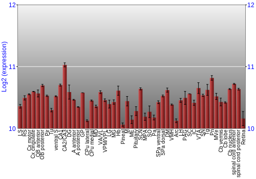 Expression graph