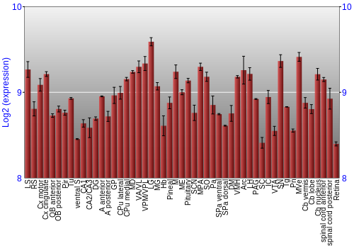 Expression graph
