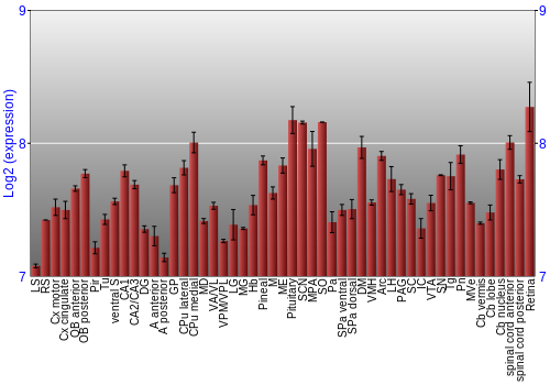 Expression graph