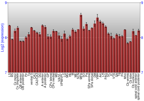 Multi-state expression graph