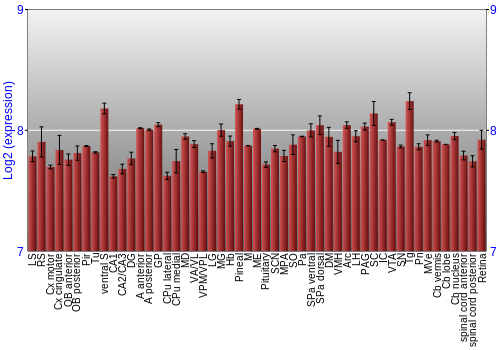 Expression graph