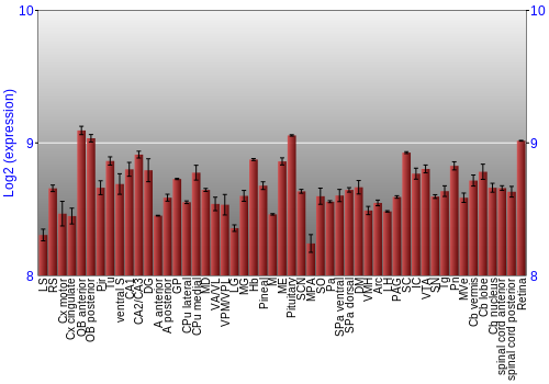 Expression graph