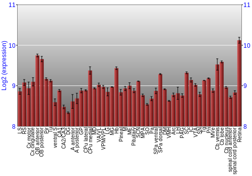 Expression graph