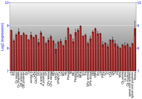 Expression graph
