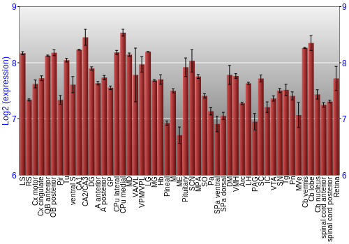 Expression graph