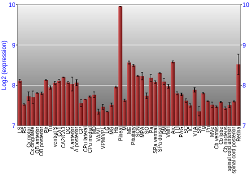 Expression graph