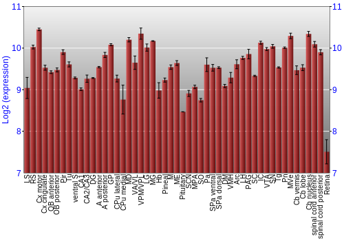 Expression graph