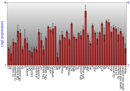 Expression graph