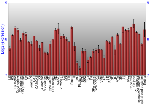 Expression graph