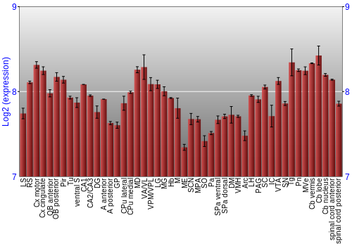 Multi-state expression graph
