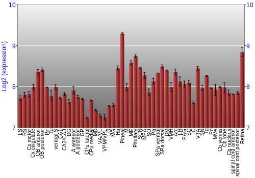 Expression graph