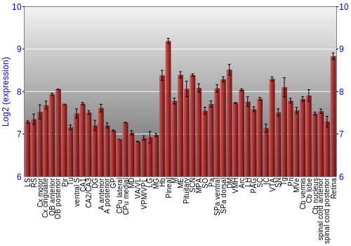Expression graph