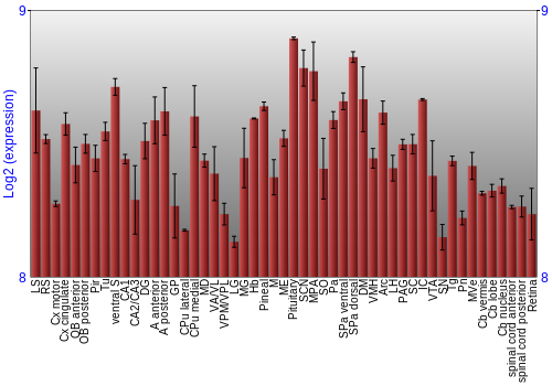 Expression graph
