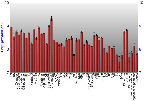 Expression graph