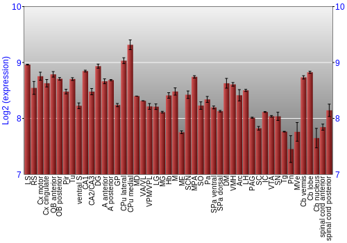 Multi-state expression graph