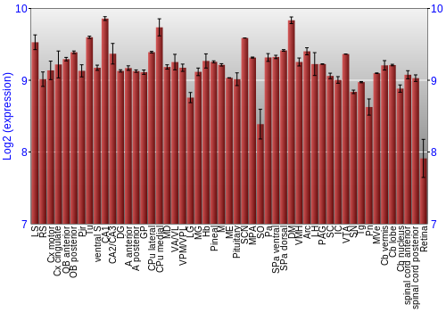 Expression graph