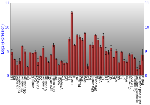 Expression graph