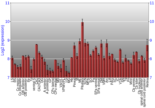 Expression graph