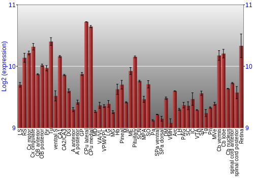 Expression graph