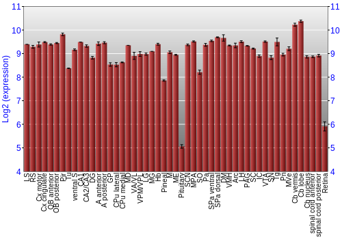 Expression graph