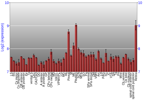 Expression graph