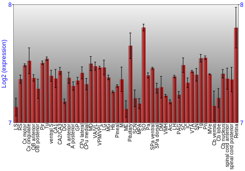 Expression graph