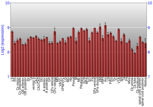 Expression graph