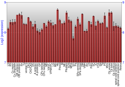 Expression graph
